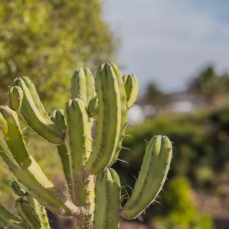 Casa El Quinto ヴィラ La Vegueta