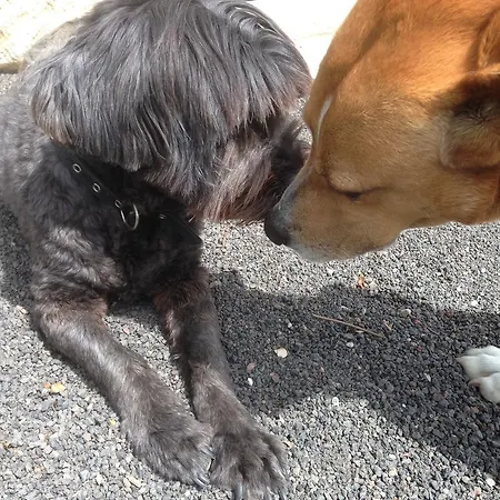 ヴィラ Casa El Quinto La Vegueta